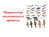 Направления эволюционного процесса