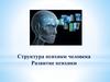 Структура психики человека. Развитие психики