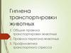 Гигиена транспортировки животных