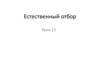 Естественный отбор. Определение естественного отбора. Урок 11