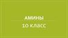 Амины. 10 класс