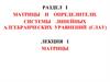 Матрицы и определители. Системы линейных алгебраических уравнений