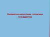 Бюджетно-налоговая политика государства