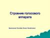 Строение голосового аппарата