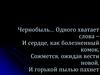 Чернобыль – трагедия, подвиг, предупреждение