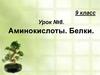 Аминокислоты. Белки. Состав и свойства аминокислот  (9 класс)