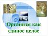 Организм как единое целое