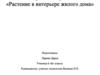Растение в интерьере жилого дома