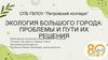 Экология большого города: проблемы и пути их решения