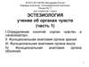 Эстезиология - учение об органах чувств