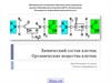Химический состав клетки. Органические вещества клетки