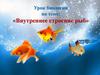 Внутреннее строение рыб