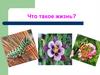 Что такое жизнь?