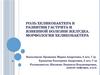 Роль хеликобактера в развитии гастрита и ЯБЖ. Морфология хеликобактера