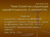 Склад та структура агрофітоценозів їх мінливість  (лекція 3)