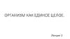 Организм как единое целое. Лекция 2