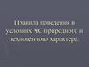 Чрезвычайные ситуации. Правила поведения в условиях ЧС природного и техногенного характера