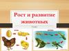 Рост и развитие животных  (6 класс)
