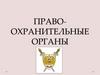 Правоохранительные органы