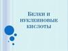 Белки и нуклеиновые кислоты