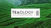 What is teaology. Made out of love. For tea. For nature. For beauty. For innovation