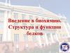 Введение в биохимию. Структура и функции белков