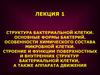 Структура бактериальной клетки. Основные формы бактерий  (лекция 1)