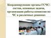 Координирующие органы ГСЧС: состав, основные задачи, организация работы комиссии по ЧС в различных режимах