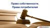 Право собственности. Права потребителей