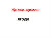Җиләк-җимеш. Ягода