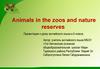 Animals in the zoos and nature reserves