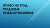 Право на труд. Трудовые правоотношения