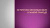 Источники звуковых волн в живой природе