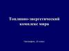 Топливно-энергетический комплекс мира. Состав ТЭК. 10 класс