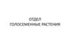 Отдел Голосеменные растения
