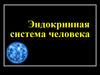Эндокринная система человека  (9 класс)