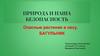 Природа и наша безопасность. Опасные растения в лесу
