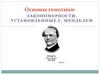 Основы генетики. Закономерности, установленные Г. Менделем
