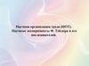 Научная организация труда (НОТ). Научные эксперименты Ф. Тейлора и его последователей