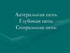 Латеральная цепь. Глубокая цепь. Спиральная цепь