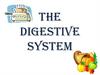 The Digestive System