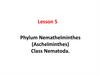 Phylum Nemathelminthes (Aschelminthes). Class Nematoda. Lesson 5