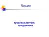 Трудовые ресурсы предприятия. Лекция