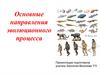 Основные направления эволюционного процесса