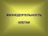 Жизнедеятельность клетки. Жизненные процессы клетки