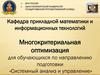 Формальная постановка задачи оптимизации при многих критериях. Метод последовательных уступок  (занятие № 1)