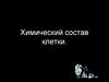 Химический состав клетки