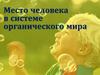 Место человека в системе органического мира