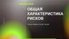 Общая характеристика рисков