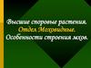 Высшие споровые растения. Отдел Моховидные. Особенности строения мхов
